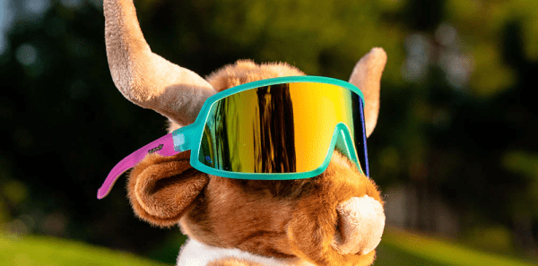 Goodr Wrap G – Save a Bull, Ride a Rodeo Clown | SaveaBull_RideaRodeoClownPageAssetsSaveaBull_RideaRodeoClownPageAssetsProductImage_1000x